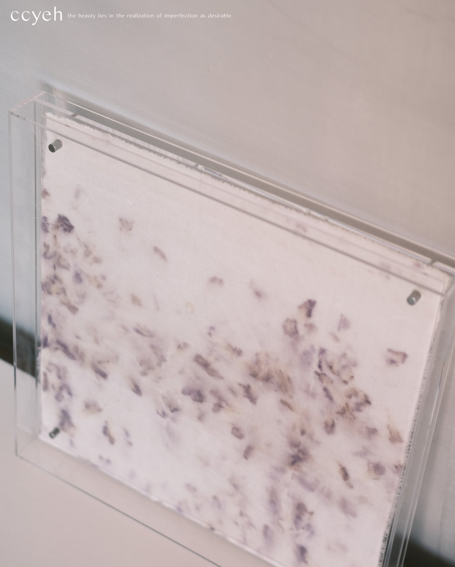fogged violet